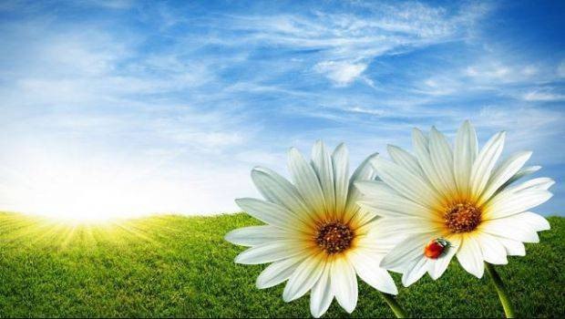 Sabah 39 dərəcə isti olacaq – PROQNOZ