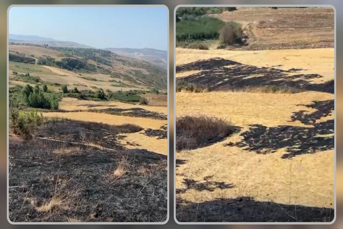 Şamaxıda yanğın törədən şəxs məsuliyyətə cəlb olundu Şamaxıda yanğın törədən şəxs məsuliyyətə cəlb olundu