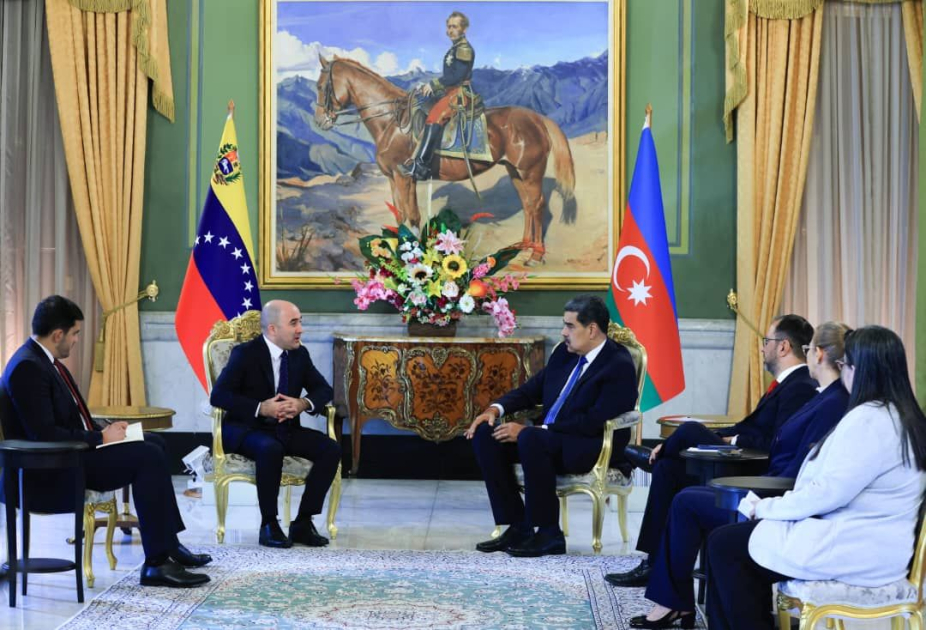 Səfirimiz etimadnaməsini Venesuela Prezidentinə təqdim etdi – FOTO