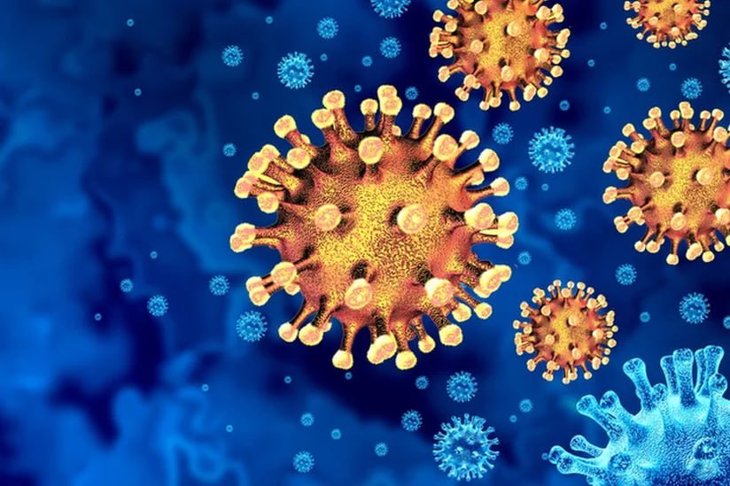 Yeni virus yayılır: Bu ölkədə karantin rejimi tətbiq olunacaq