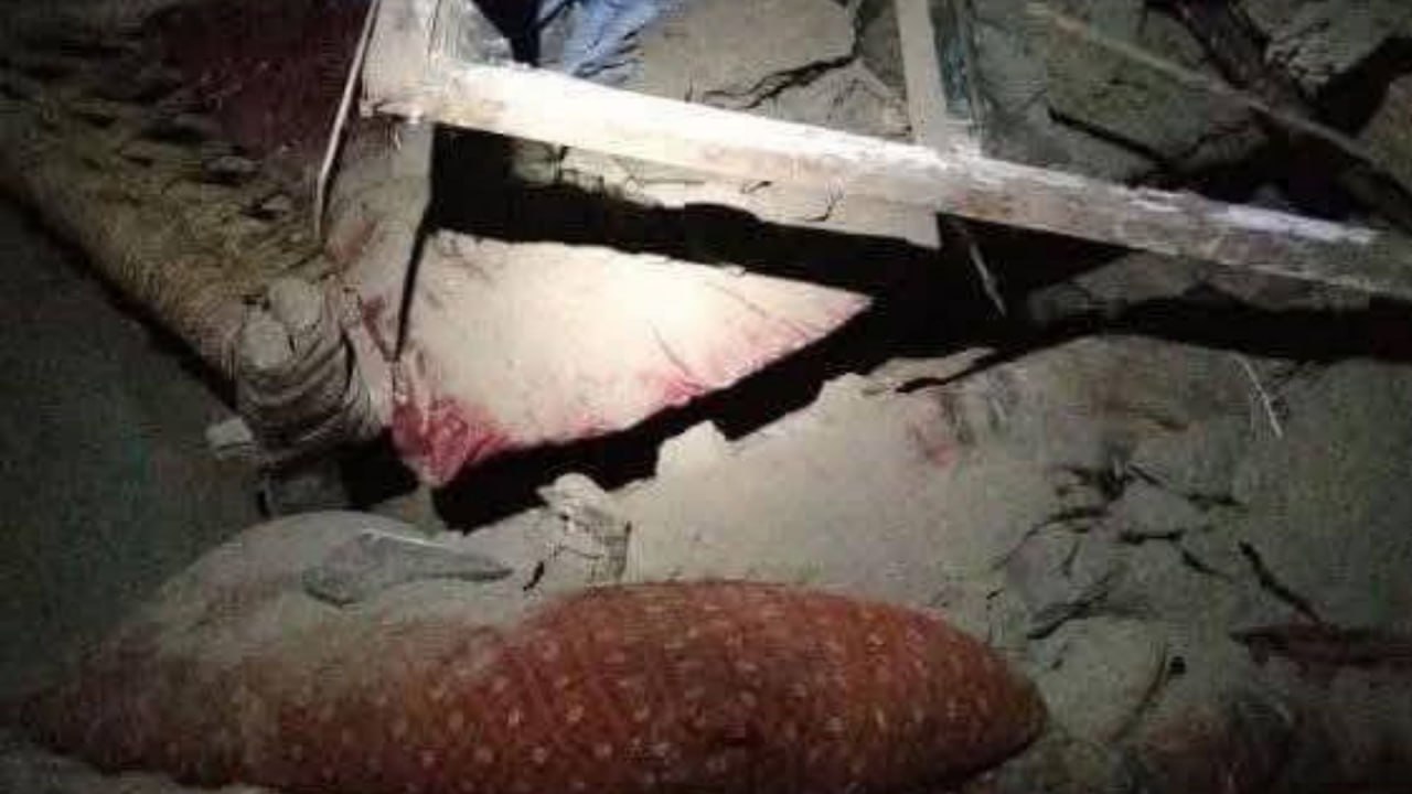 Əfqanıstanda zəlzələdə ölənlərin sayı 800-ə çatdı - YENİLƏNİB/VİDEO