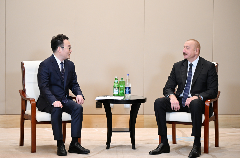 İlham Əliyev “Powerchina group” şirkətinin vitse-prezidenti ilə görüşdü – FOTO