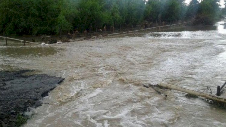 Daşkəsənə yağan leysan çayda sululluğu artırdı Daşkəsənə yağan leysan çayda sululluğu artırdı