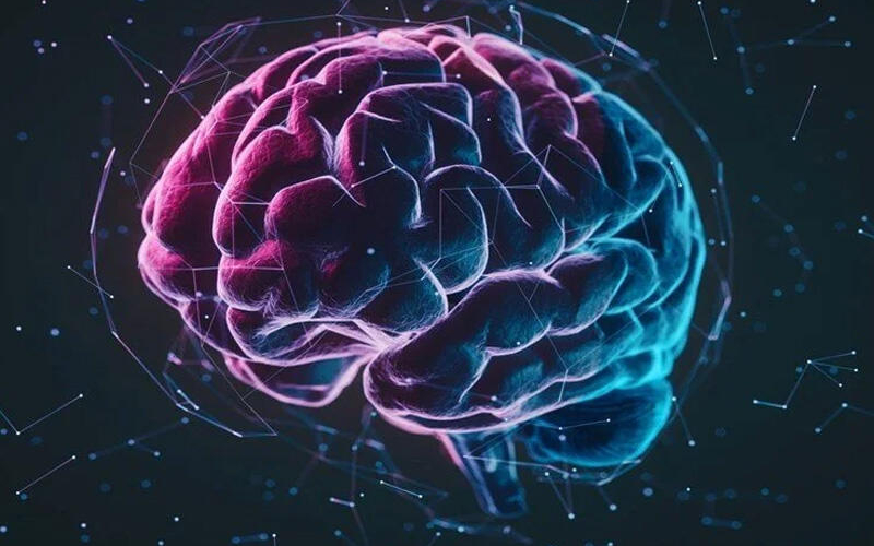 Siçanlar üzərində test edildi, indi də insanlarda yoxlayacaqlar - Alimlər görün nə tapdı