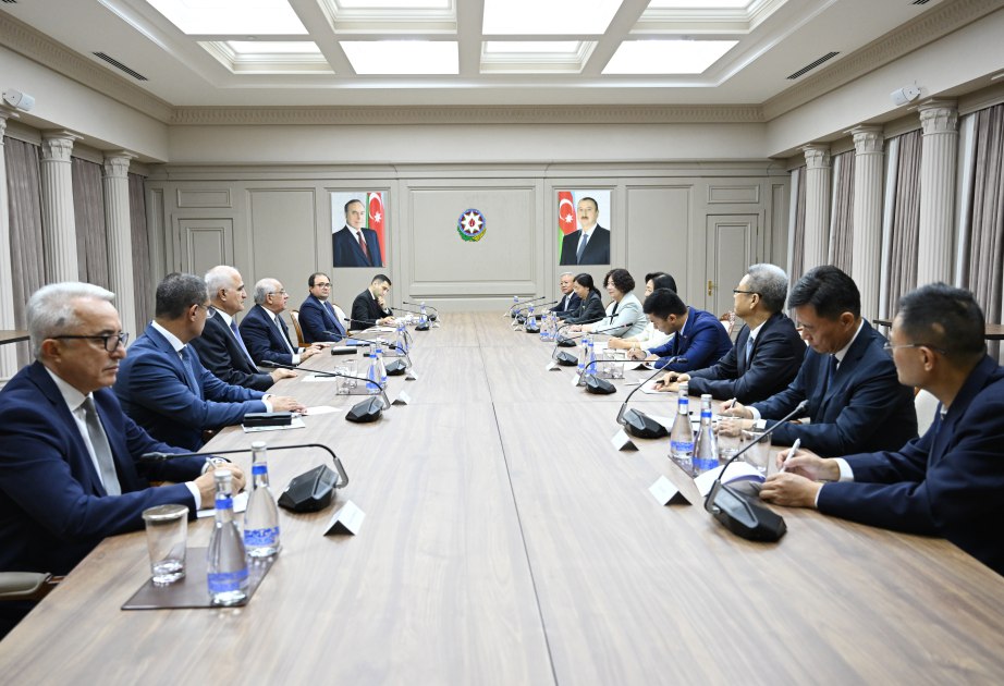 Əli Əsədov Çin Xalq Siyasi Məşvərət Şurasının üzvü ilə görüşdü - FOTO