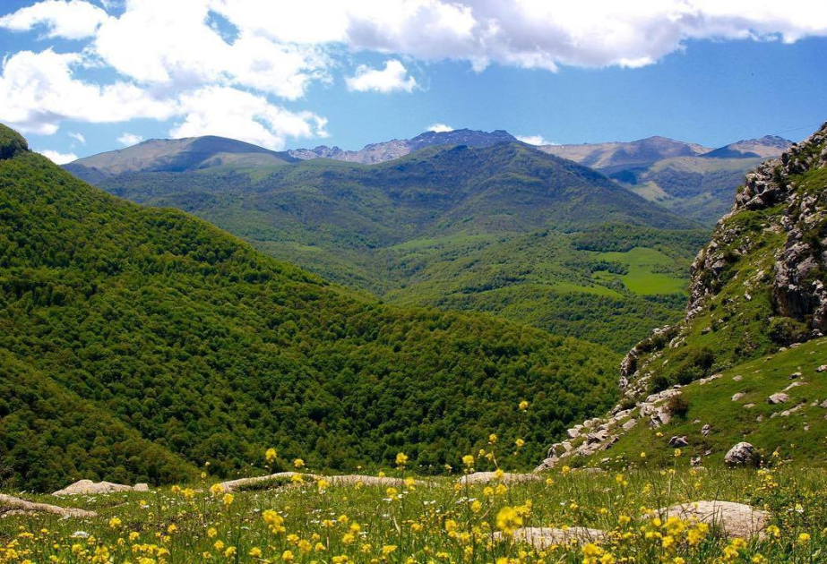 Laçın və Qubadlıda 2-ci yeni milli park yaradılacaq