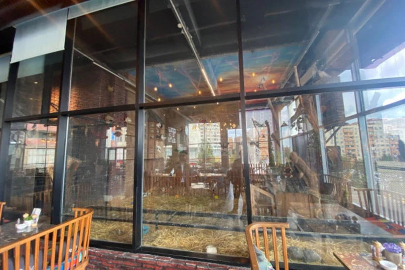 Bakıda vəhşi heyvanların qanunsuz saxlanıldığı restorana xəbərdarlıq edildi – FOTO