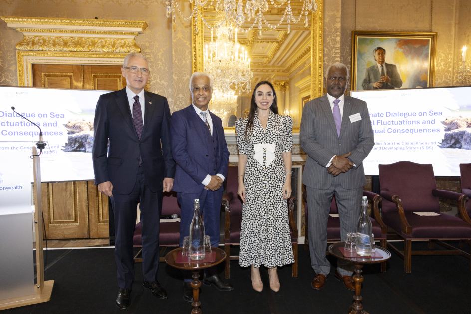 Leyla Əliyeva Londonda iqlim dialoqunda – FOTO