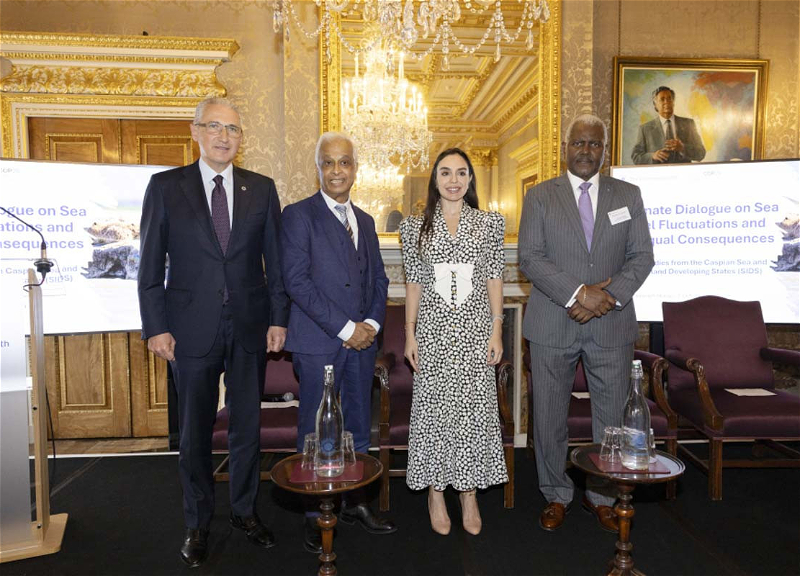 Leyla Əliyeva Londonda iqlim dialoqunda – FOTO