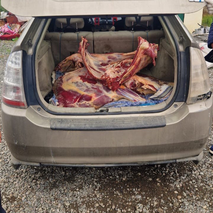 “Toyota Prius”da 92 kq mənşəyi məlum olmayan ət aşkarlandı – FOTO “Toyota Prius”da 92 kq mənşəyi məlum olmayan ət aşkarlandı – FOTO