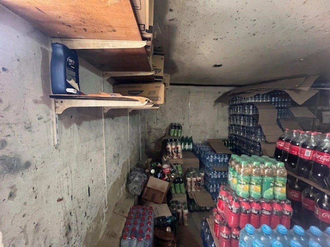 Bakıda ərzaq mağazasında qüsurlar aşkarlandı, sahibi cəzalandırıldı - FOTO