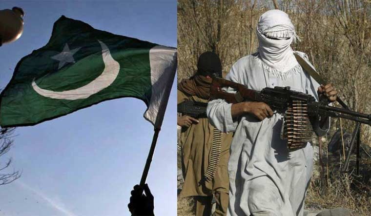 Pakistan və Taliban atəşkəs barədə razılığa gəldi - VİDEO