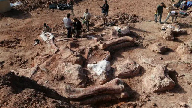 Argentinada ən qədim dinozavrlardan birinin qalıqları TAPILDI