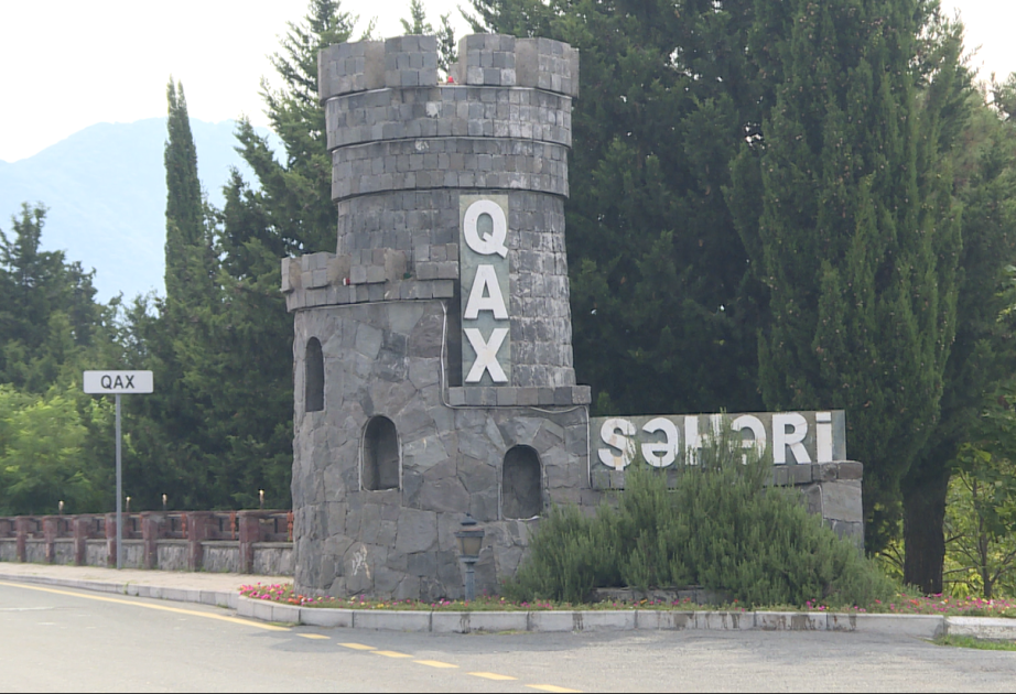 Qaxda avtomaşın qəzaya uğradı - Qarşısına inək çıxıb - FOTO