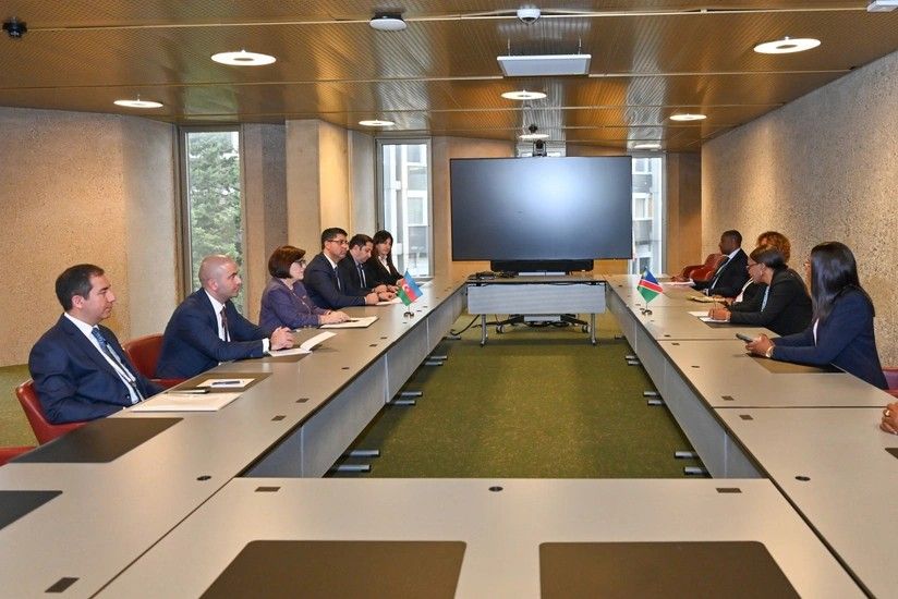 Sahibə Qafarova Cenevrədə Namibiya və Bosniya və Herseqovinanın parlament sədrləri ilə görüşüb - FOTO