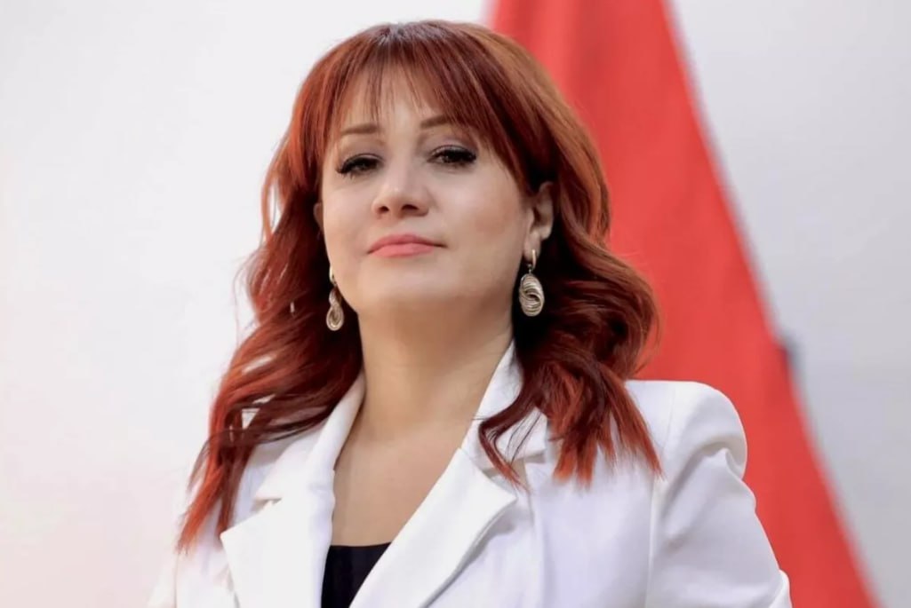 Paşinyanın mətbuat katibi: Ermənistan İlham Əliyevin bəyanatını alqışlayır Paşinyanın mətbuat katibi: Ermənistan İlham Əliyevin bəyanatını alqışlayır
