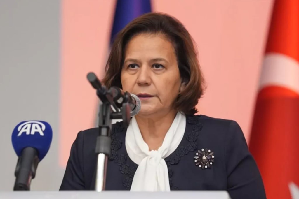 Berris Ekinci Azərbaycana gələcək