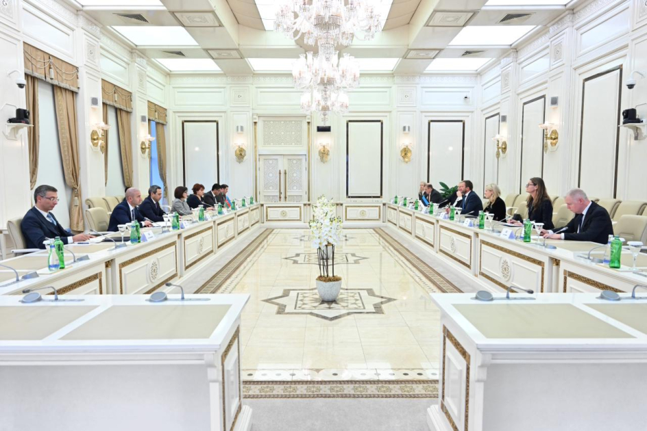 Sahibə Qafarova Estoniyanın xarici işlər naziri ilə görüşüb - FOTO
