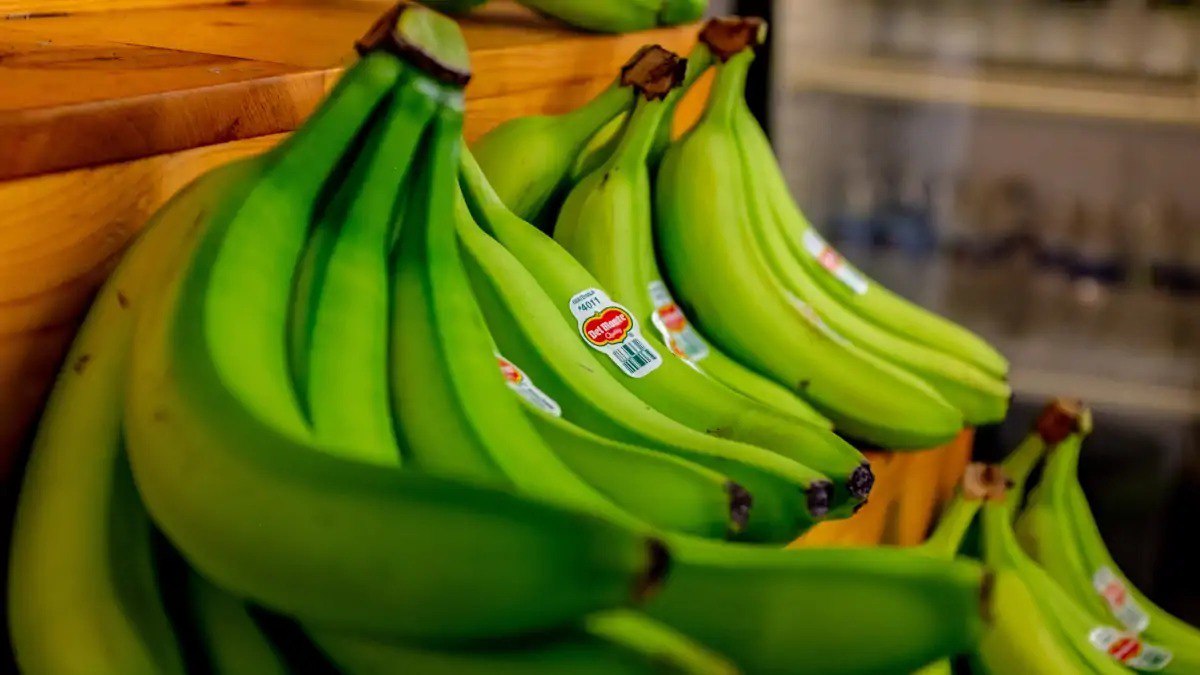 Yaşıl bananın FAYDALARI: Həkimlər tez-tez yeməyi məsləhət görürlər Yaşıl bananın FAYDALARI: Həkimlər tez-tez yeməyi məsləhət görürlər