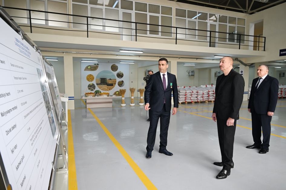 Prezident Sabirabadda toxum istehsalı müəssisəsində - FOTO Prezident Sabirabadda toxum istehsalı müəssisəsində - FOTO