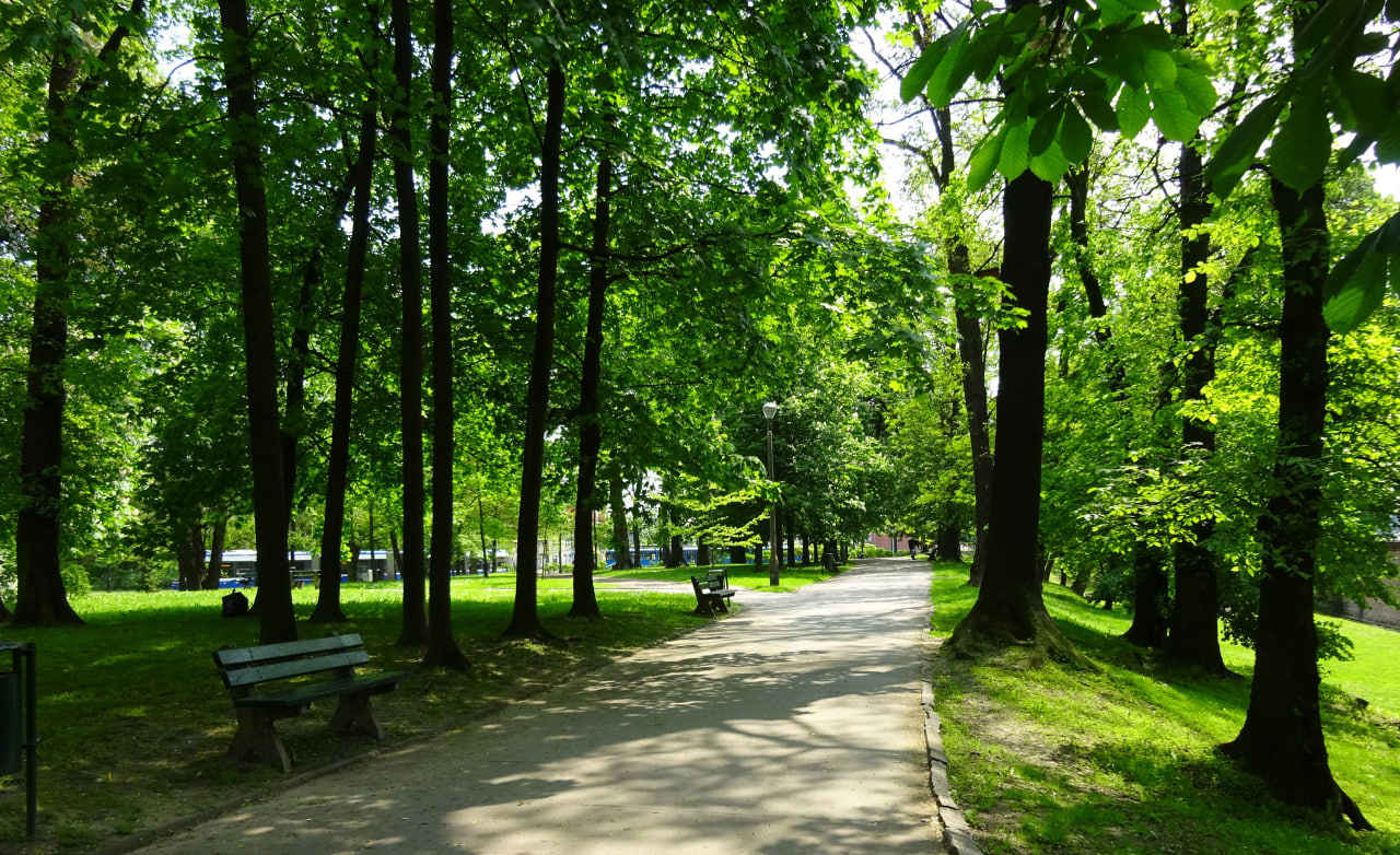 Bakıda oğlan parkda tanış olmaq istədiyi qızı qarət etdi Bakıda oğlan parkda tanış olmaq istədiyi qızı qarət etdi