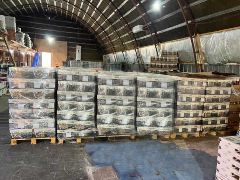 İdxal olunan antep fıstığında uyğunsuzluq AŞKARLANDI - FOTO İdxal olunan antep fıstığında uyğunsuzluq AŞKARLANDI - FOTO