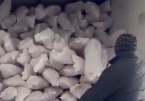 "12 manata monqol əti" Azərbaycan bazarını bürüyüb - VİDEO