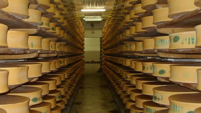 ABŞ yerin altında 600 milyon kq-dan çox pendir saxlayır: Səbəb nədir?