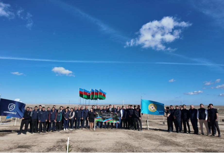 FHN Zəfər Gününə həsr olunmuş ağacəkmə aksiyası keçirdi FHN Zəfər Gününə həsr olunmuş ağacəkmə aksiyası keçirdi