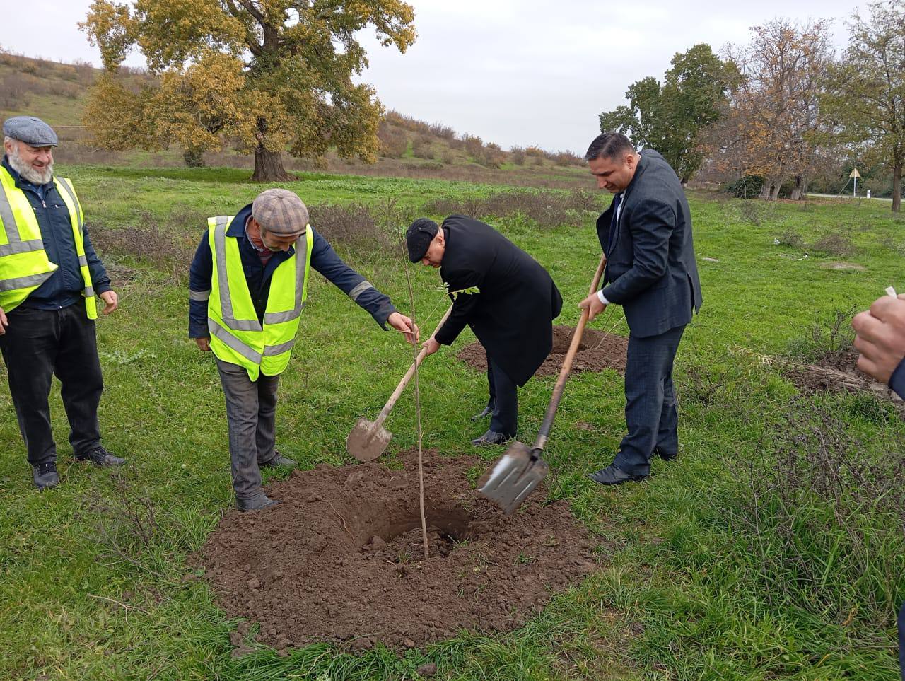 Qusarda genişmiqyaslı ağacəkmə aksiyası keçirildi - FOTO