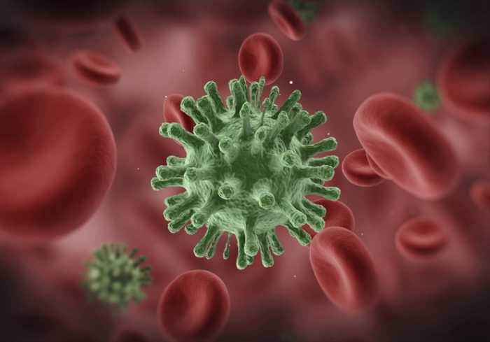 Viruslar ürək əməliyyatı riskini ARTIRIR Viruslar ürək əməliyyatı riskini ARTIRIR