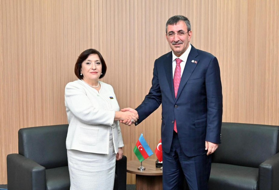 Milli Məclisin sədri Türkiyə Respublikasının Vitse-prezidenti ilə görüşüb Milli Məclisin sədri Türkiyə Respublikasının Vitse-prezidenti ilə görüşüb