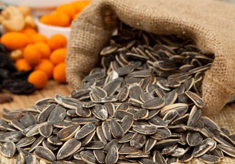 Günəbaxan tumu kökəldir, yoxsa arıqladır - ARAŞDIRMA