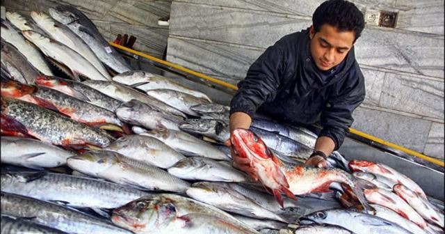 Balıq bazarında canlanma yaranıb, qiymətlər artıb - VİDEO Balıq bazarında canlanma yaranıb, qiymətlər artıb - VİDEO