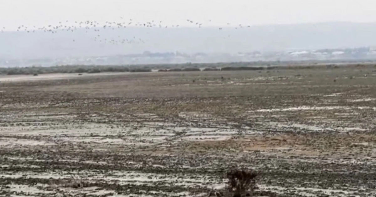 Azərbaycanın ən böyük göllərindən biri QURUYUR: Ekoloqlar həyəcan təbili çalırlar – VİDEO Azərbaycanın ən böyük göllərindən biri QURUYUR: Ekoloqlar həyəcan təbili çalırlar – VİDEO