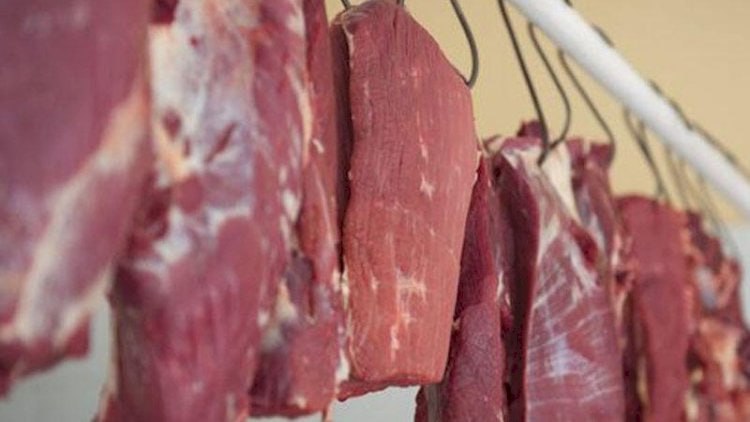 154 kq at ətini mal əti adı ilə Bakıda satmaq istədi – FOTO