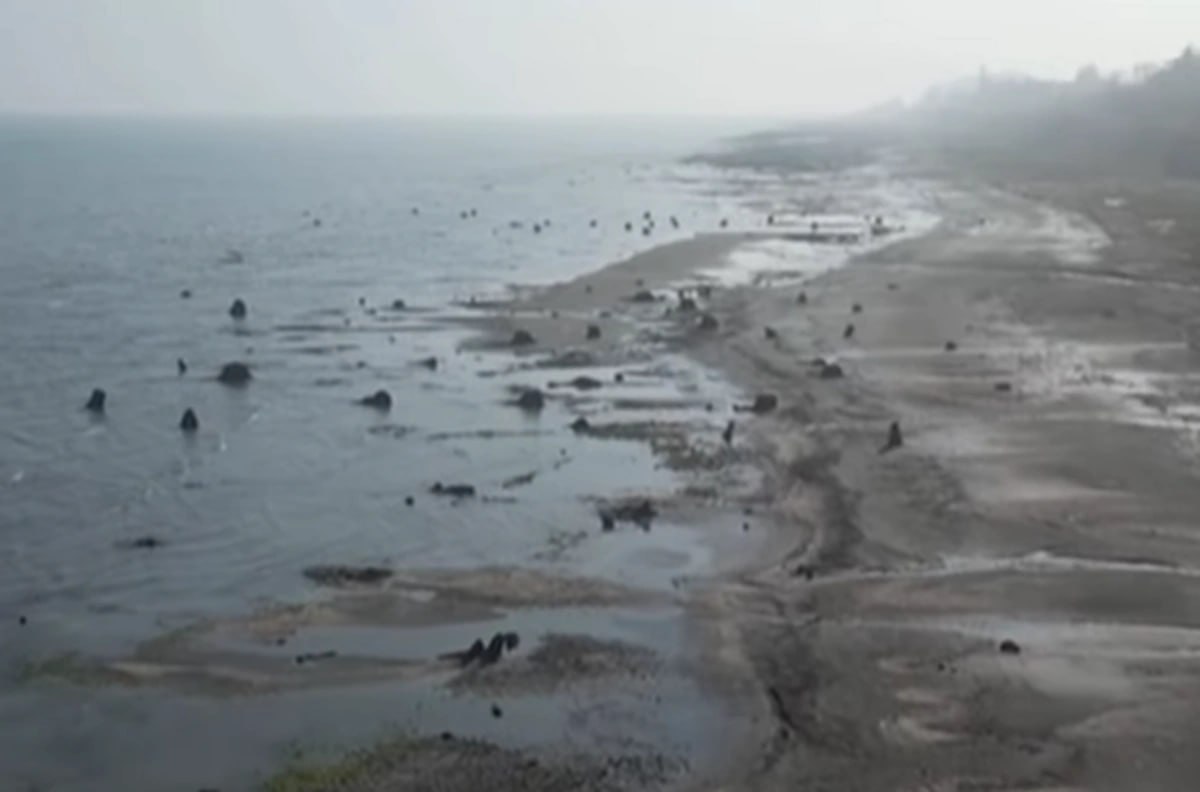 Xəzər çəkildikcə MİSTİK TAPINTILAR çoxalır - VİDEO