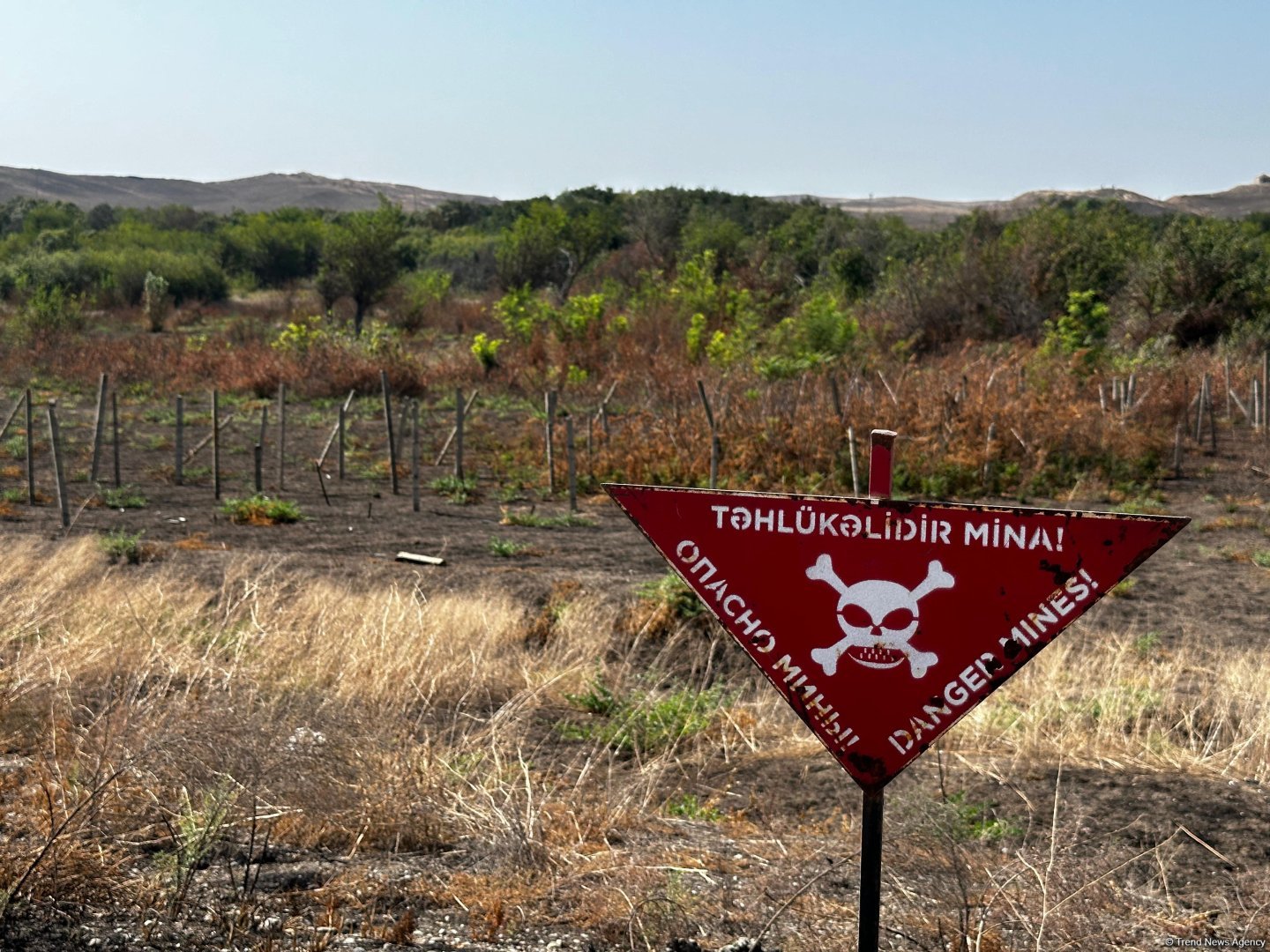 İşğaldan azad edilmiş ərazilərdə daha 234 mina AŞKARLANDI