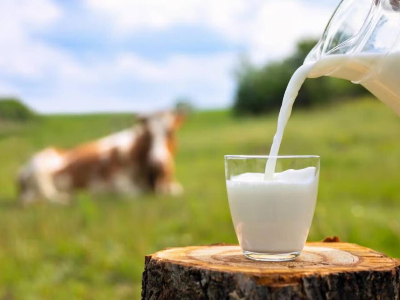 Yağlı süd içənlərə TÖVSİYƏ