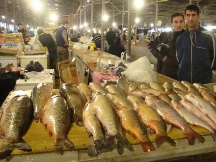 Əgər balığın qarnı belədirsə, almayın!
