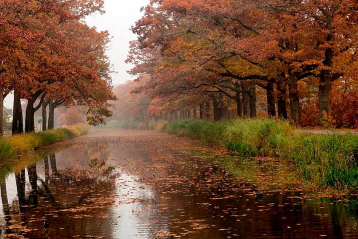 GÜNÜN HAVASI: Çiskinli yağış yağacaq GÜNÜN HAVASI: Çiskinli yağış yağacaq