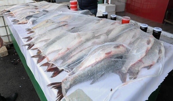 3-cü mikrorayon bazarında nöqsanlar aşkarlandı