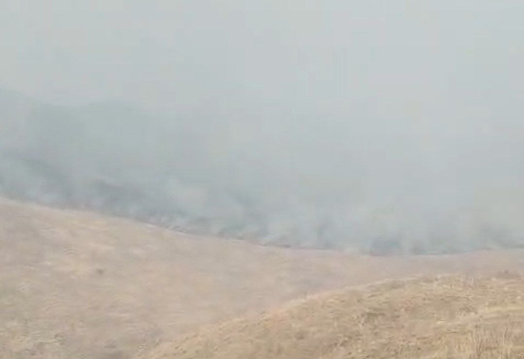 Kəlbəcərdəki yanğın Laçın rayonu ərazisinə keçdi - FOTO Kəlbəcərdəki yanğın Laçın rayonu ərazisinə keçdi - FOTO