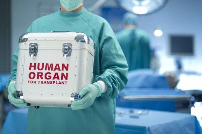 Səhiyyəmizdə yeni mərhələnin başlanğıcı: Meyitdən orqan nəqli məsələsində hansı problemlər var?