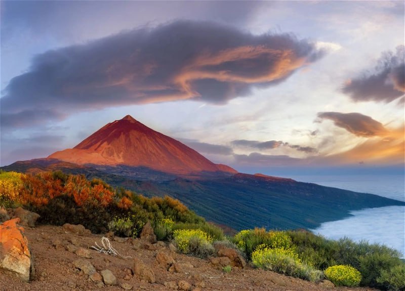 Kanar adalarında 2 min il əvvəl əkilmiş məhsul tapıldı