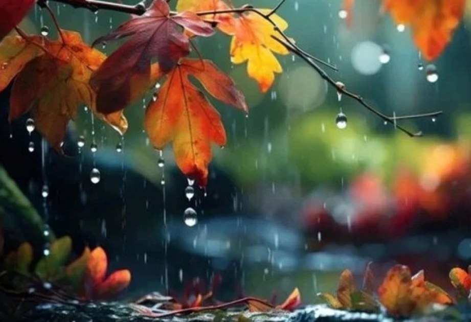 Bölgələrdə yağıntılı hava müşahidə olunur - FAKTİKİ HAVA