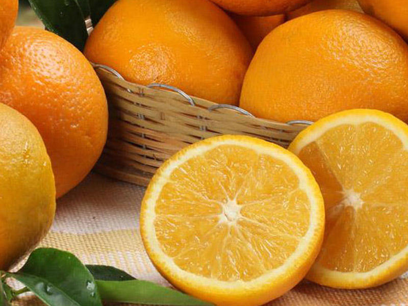 Qış xəstəliklərinə qarşı müdafiə