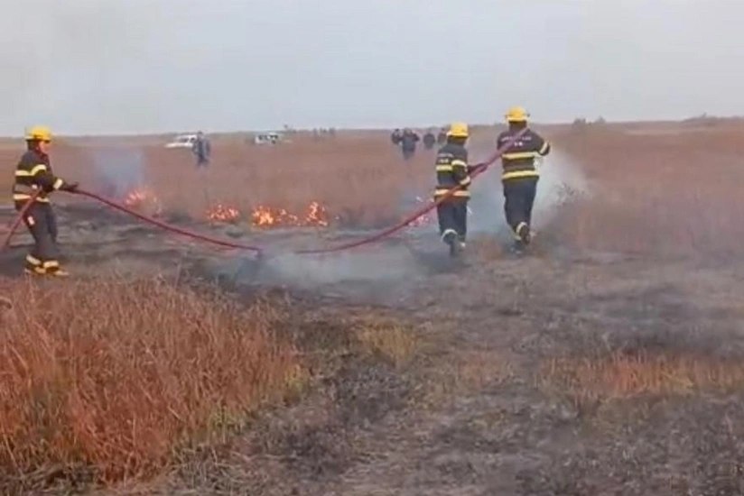 Cəlilabadda açıq ərazidə yanğın olub - FOTO/VİDEO