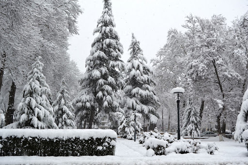 İsmayıllıya ilk qar yağdı – VİDEO İsmayıllıya ilk qar yağdı – VİDEO