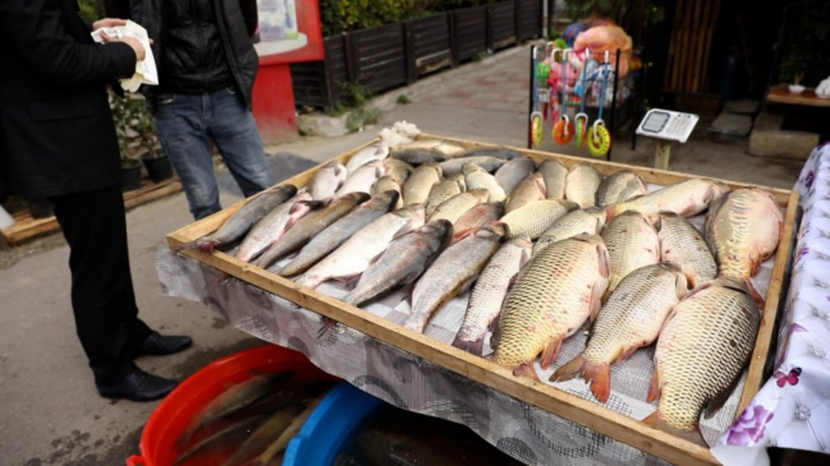 Bakının bu ərazisində qanunsuz küçə satışına qarşı REYD – FOTO/VİDEO